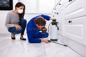 Emergency Pest Control Services in Davisboro, GA